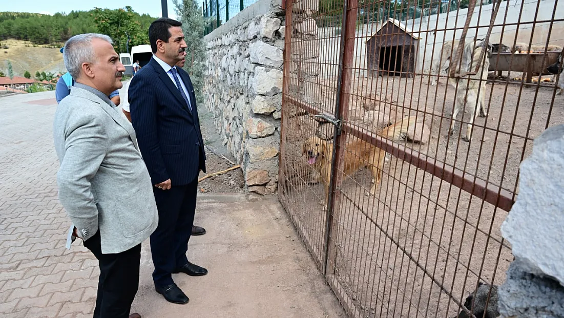 Battalgazi'de Sahipsiz Hayvan Kalmadı! 850 Kapasiteli Tesiste Yeni Dönem