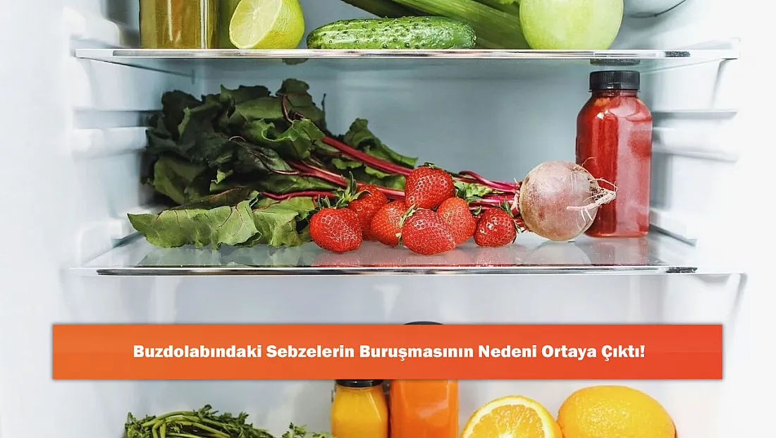 Buzdolabındaki Sebzelerin Buruşmasının Nedeni Ortaya Çıktı!