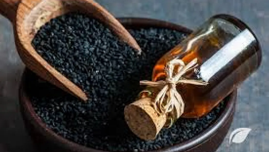 Çörekotu Zayıflamada Etkili Olabilir mi? Yeni Araştırma Çarpıcı Sonuçlar Ortaya Koydu!