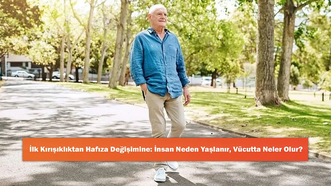 İlk Kırışıklıktan Hafıza Değişimine: İnsan Neden Yaşlanır, Vücutta Neler Olur?