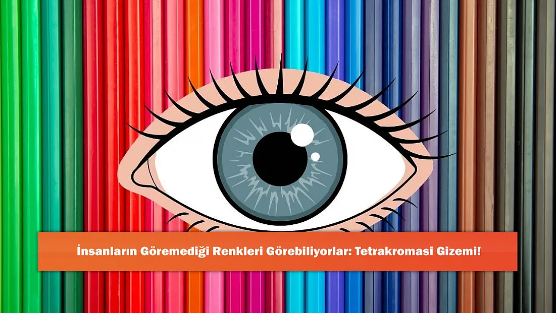 İnsanların Göremediği Renkleri Görebiliyorlar: Tetrakromasi Gizemi!