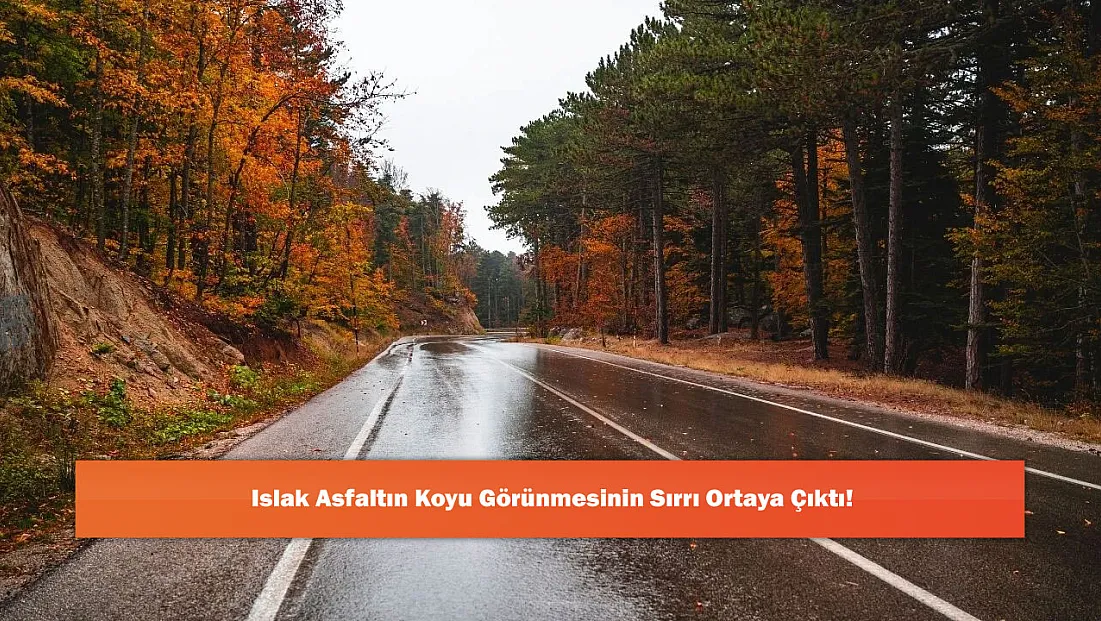Islak Asfaltın Koyu Görünmesinin Sırrı Ortaya Çıktı!