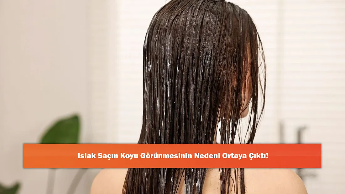 Islak Saçın Koyu Görünmesinin Nedeni Ortaya Çıktı!