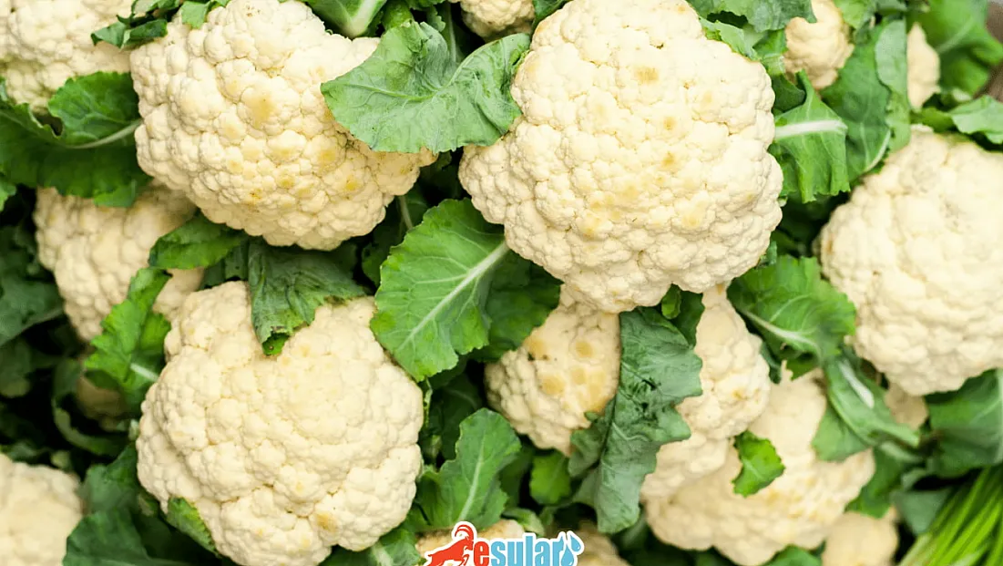 Karnabahar Lezzetli Ama Gaz Yapıyor: Çözümü Sandığınızdan Daha Kolay