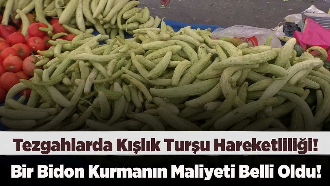 Fiyatları Gören Bidon Sayısını Düşürdü!  Bu Yıl Turşu Kurmak Aile Bütçesini Nasıl Etkileyecek?