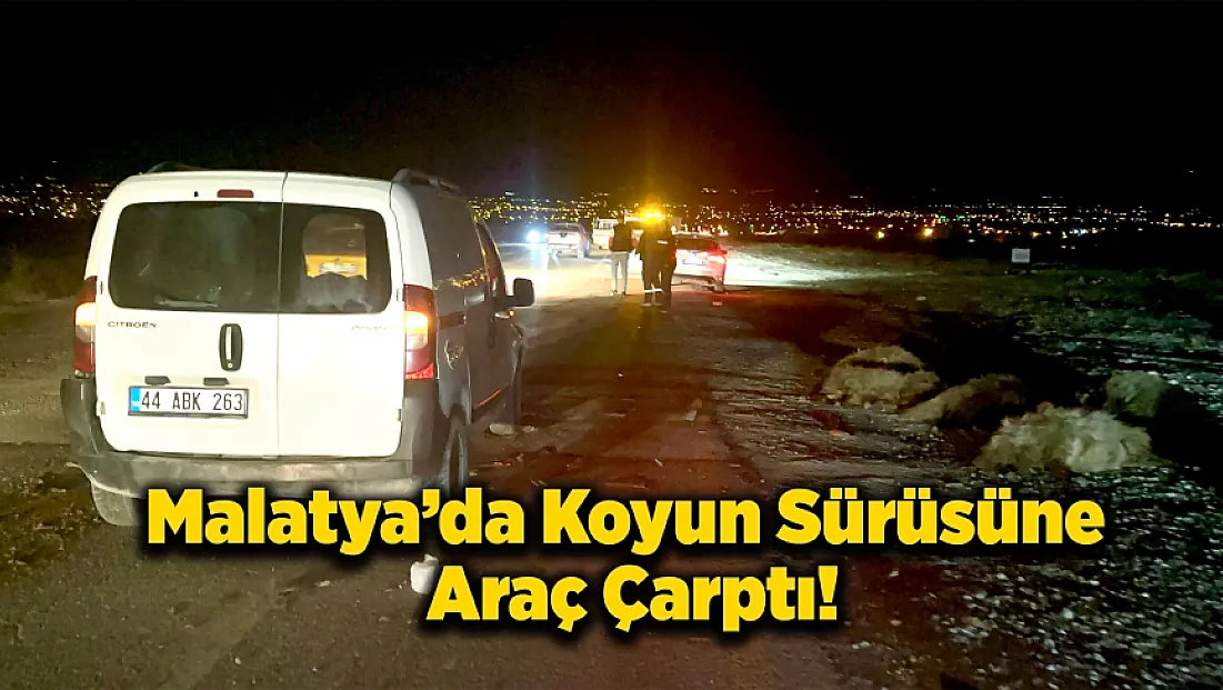 Malatya'da Katliam Gibi Kaza: 12 Koyun Telef Oldu