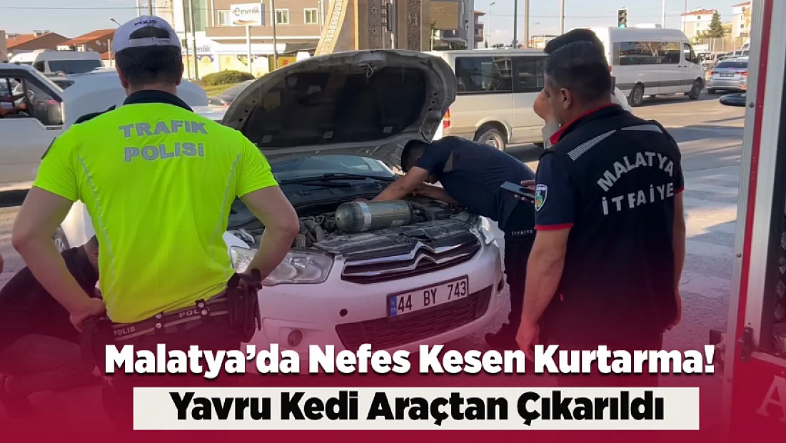 Malatya’da Otomobilde Mahsur Kalan Yavru Kedi Kurtarıldı