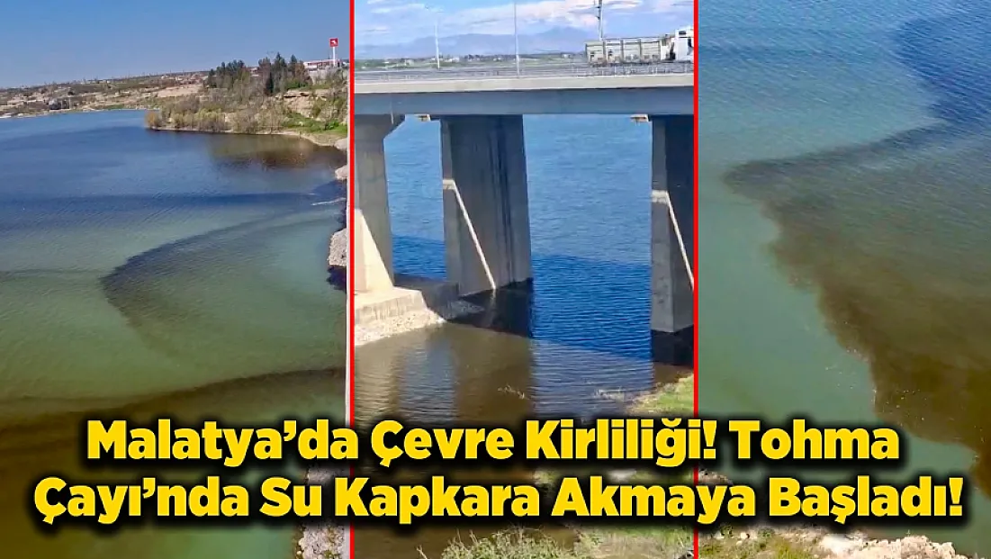 Malatya’da Tohma Çayı Kapkara Akıyor! Balıklar Ölüyor
