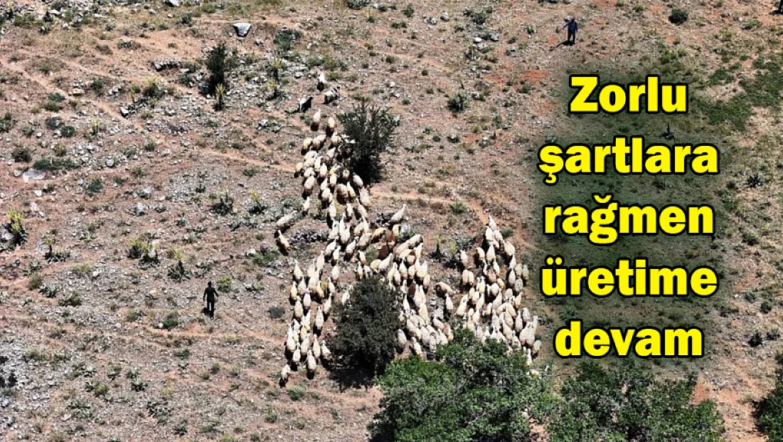 Zorlu şartlara rağmen yaylada üretmeye devam ediyorlar