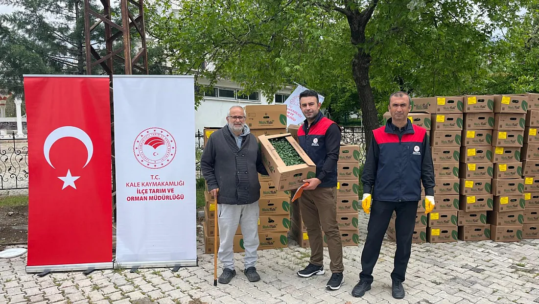 Malatya'da 62 Bin Sebze Fidesi Çiftçiye Dağıtıldı!