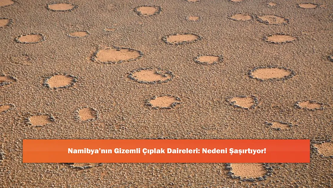 Namibya’nın Gizemli Çıplak Daireleri: Nedeni Şaşırtıyor!