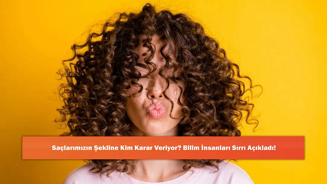 Saçlarımızın Şekline Kim Karar Veriyor? Bilim İnsanları Sırrı Açıkladı!