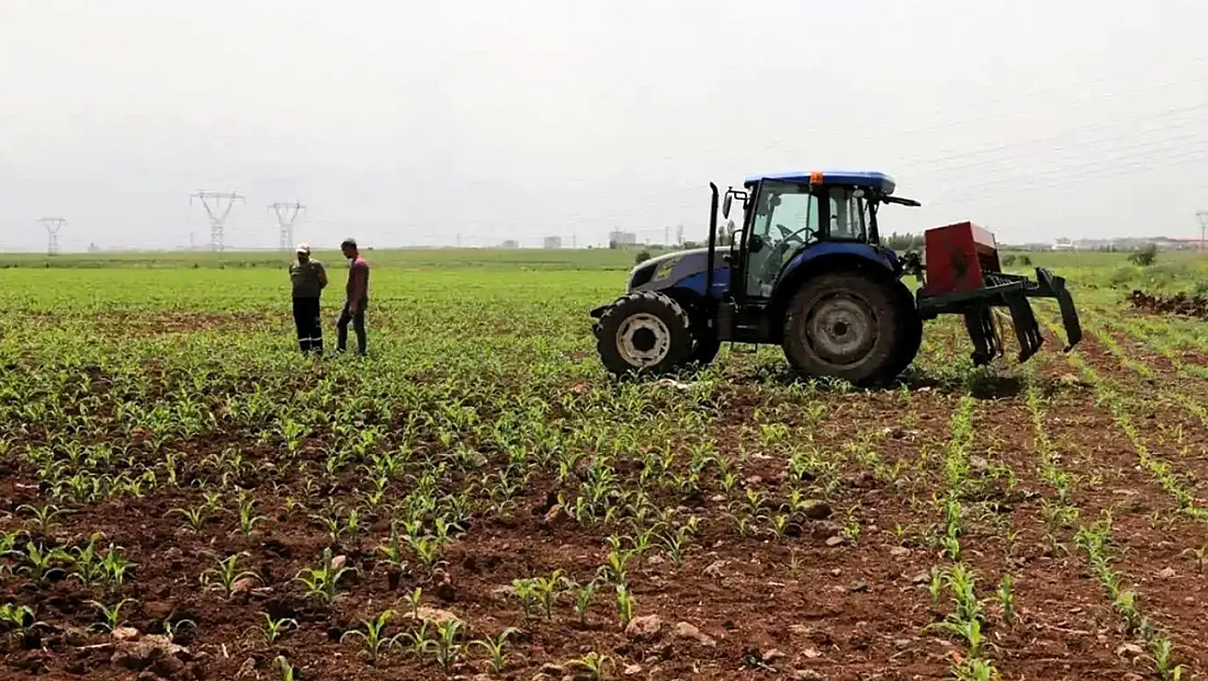 Tarım Ürünlerinde Dikkat Çeken Fiyat Hareketi! Artış Da Var Düşüş De