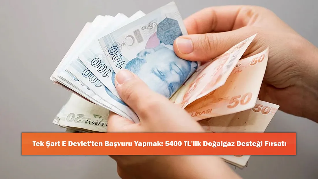 Tek Şart E Devlet'ten Başvuru Yapmak: 5400 TL'lik Doğalgaz Desteği Fırsatı