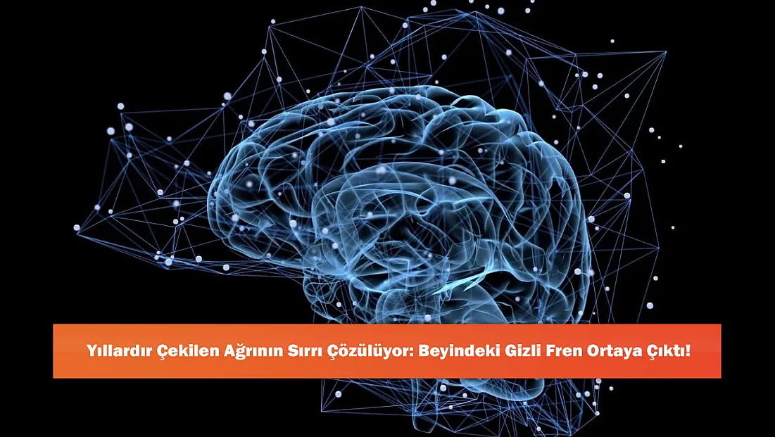 Yıllardır Çekilen Ağrının Sırrı Çözülüyor: Beyindeki Gizli Fren Ortaya Çıktı!