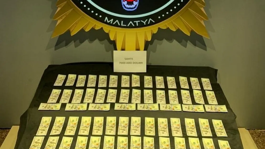 Malatya'da sahte 7 bin dolar ele geçirildi