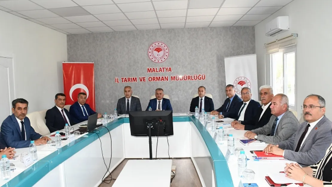 Tahmini kayısı rekoltesi 107 bin 517 ton!