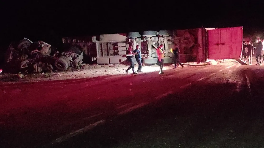 Tır devrildi onlarca koyun telef oldu