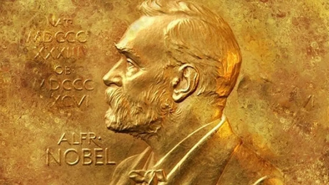 2024 Nobel Tıp Ödülü'nün sahibi belli oldu