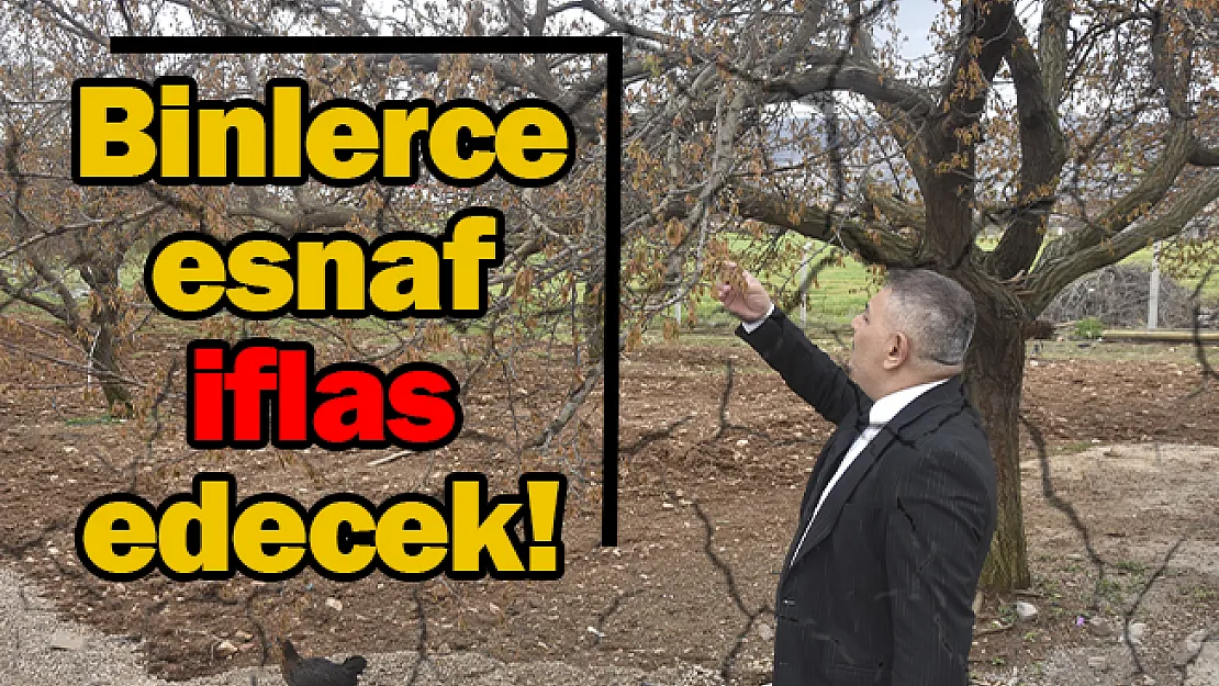Binlerce esnaf iflas edecek!