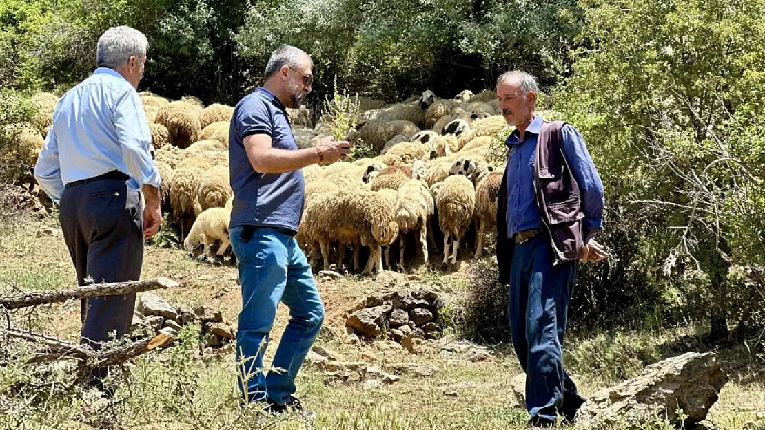 Zorlu şartlara rağmen yaylada üretmeye devam ediyorlar