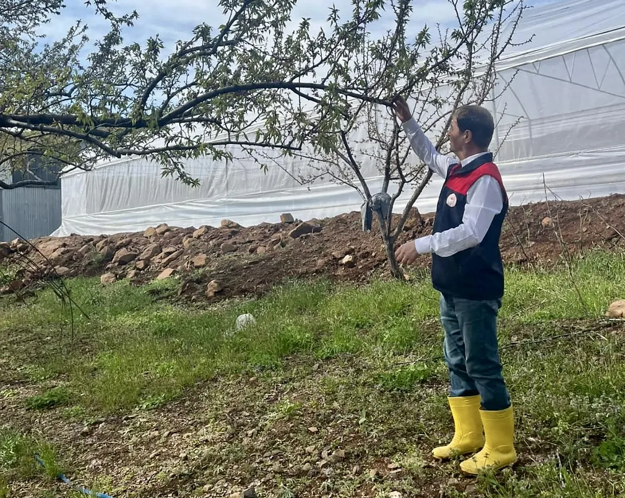 Malatya!da Tarım Alanlarında Hasar Tespit Alarmı! Üreticinin Kaybı Yerinde İnceleniyor