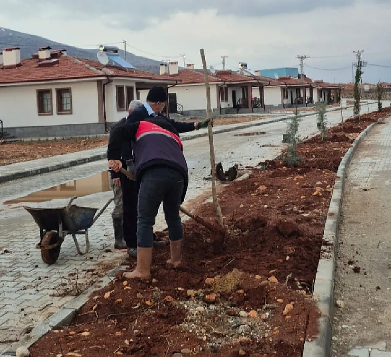 Doğanşehir'de Yeni Yaşam Alanları Yeşilleniyor: Vatandaş ve Belediye El Ele!