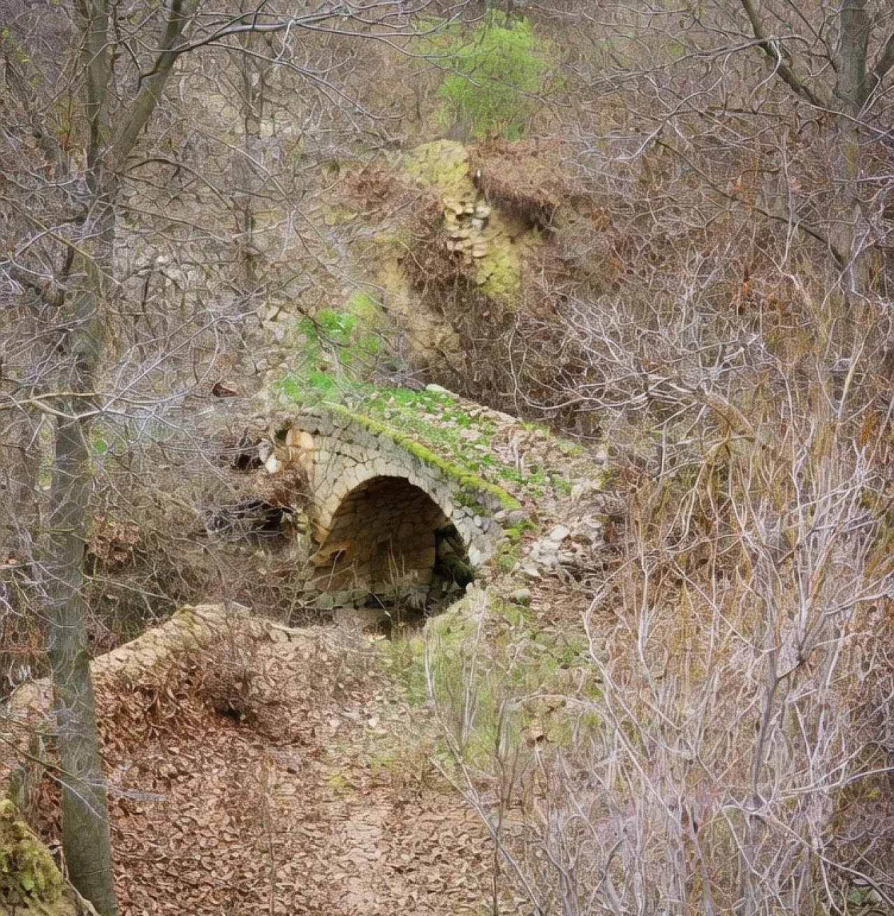 Malatya Günpınar'da Tarih mi Kazanacak Beton mu? Kritik İnceleme Başlıyor!