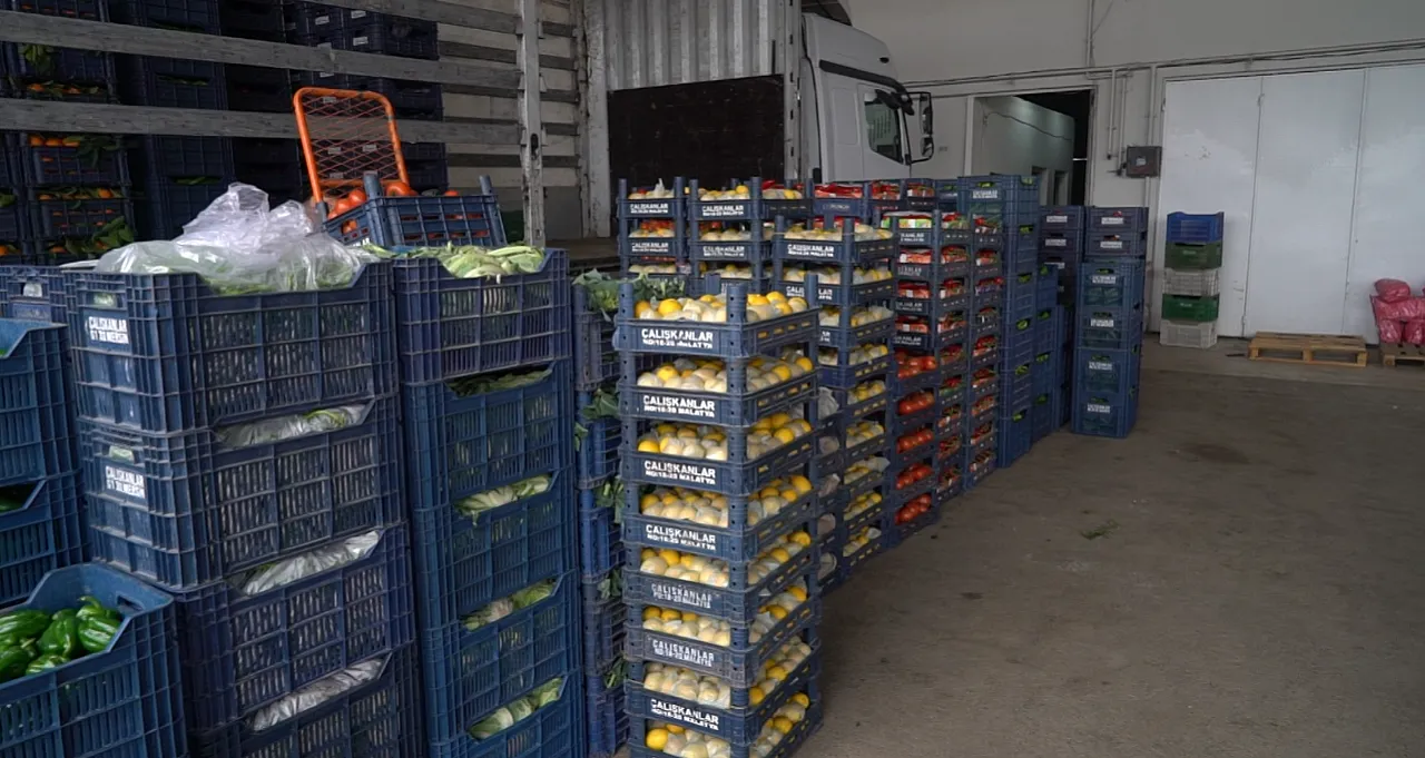 Savaş Ve Hava Koşulları Fiyatları Vurdu: İşte Malatya Sebze ve Meyve Hali'nde Yeni Etiketler