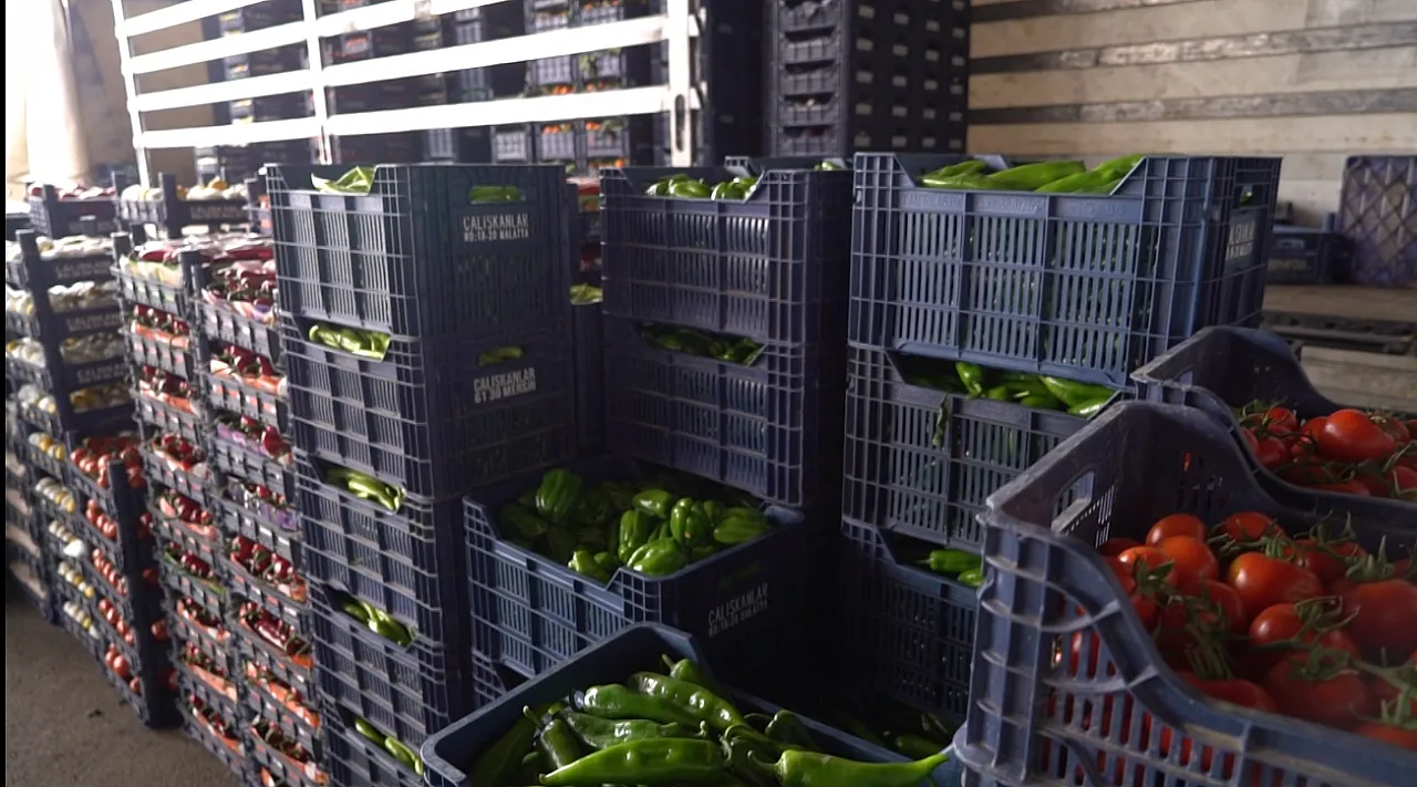 Savaş Ve Hava Koşulları Fiyatları Vurdu: İşte Malatya Sebze ve Meyve Hali'nde Yeni Etiketler