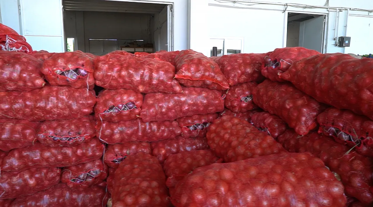 Malatya'da Hal Fiyatları Güncellendi! Hangi Ürün Kaç Liradan Satılıyor?