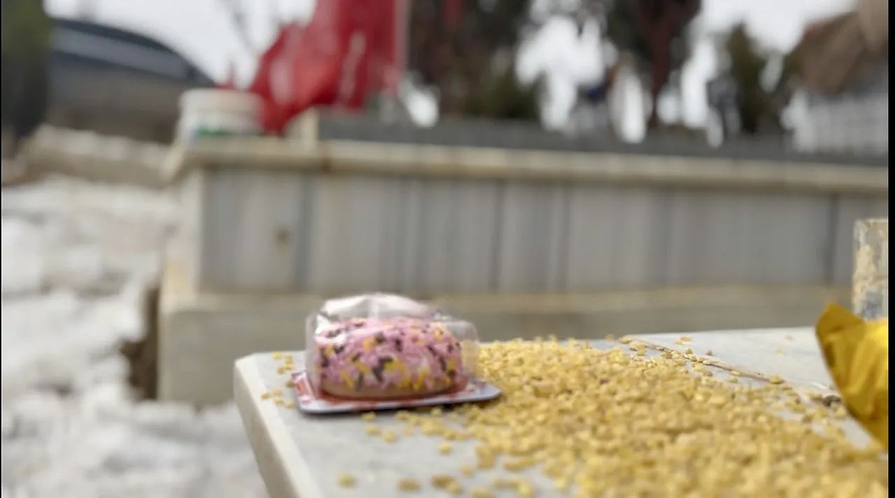 Depremde Ailesini Kaybeden Baba: Yaşarken Ölenlerden Oldum