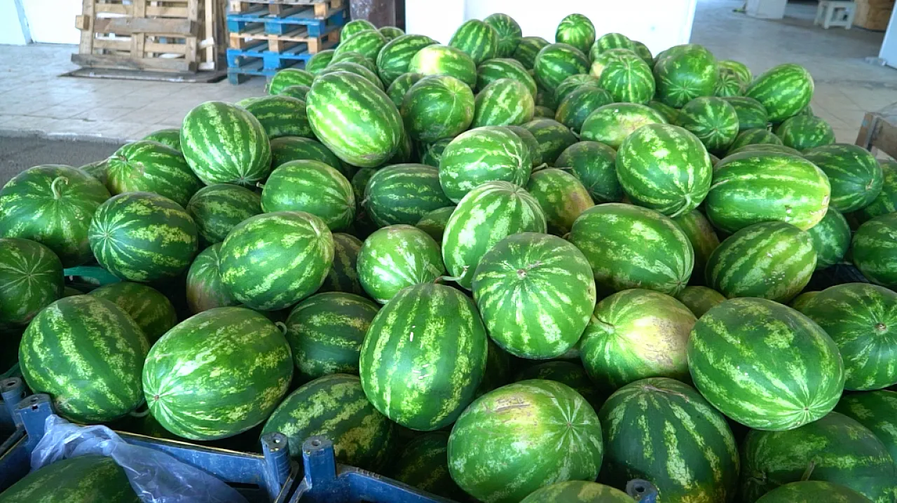 Malatya'da Hal Fiyatları Güncellendi! Hangi Ürün Kaç Liradan Satılıyor?