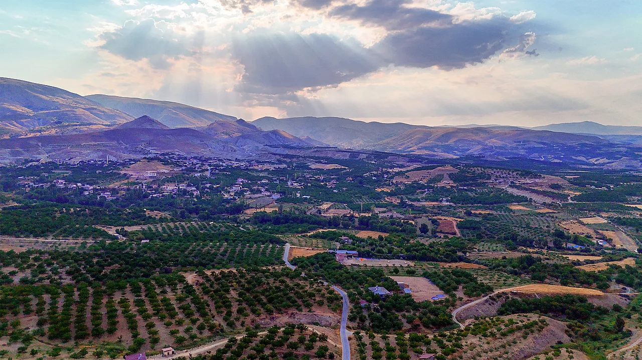 Malatya'da Kayısı Sadece Geçim Kaynağı Değil! Milyonlarca Ağaç Ekolojik Dengeyi Destekliyor
