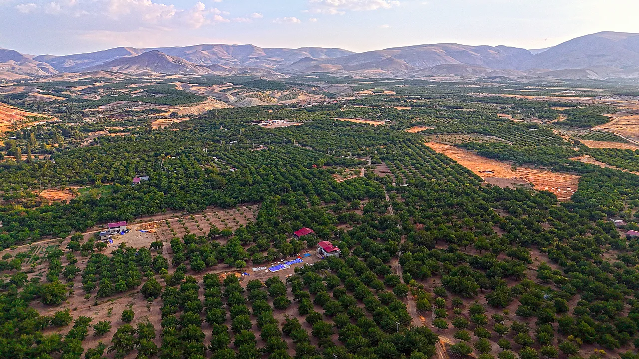 Malatya'da Kayısı Sadece Geçim Kaynağı Değil! Milyonlarca Ağaç Ekolojik Dengeyi Destekliyor