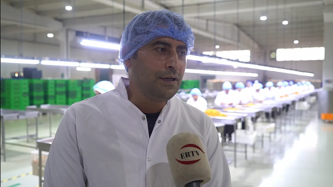 Malatya Kayısısını Rakiplerinden Ayıran Özellik Ne? Üretim Uzmanı Açıkladı