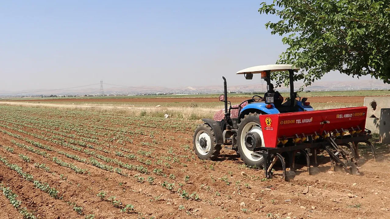 Gübre Krizi İddialarına DMM'den Net Yanıt: Stoklar Yeterli!