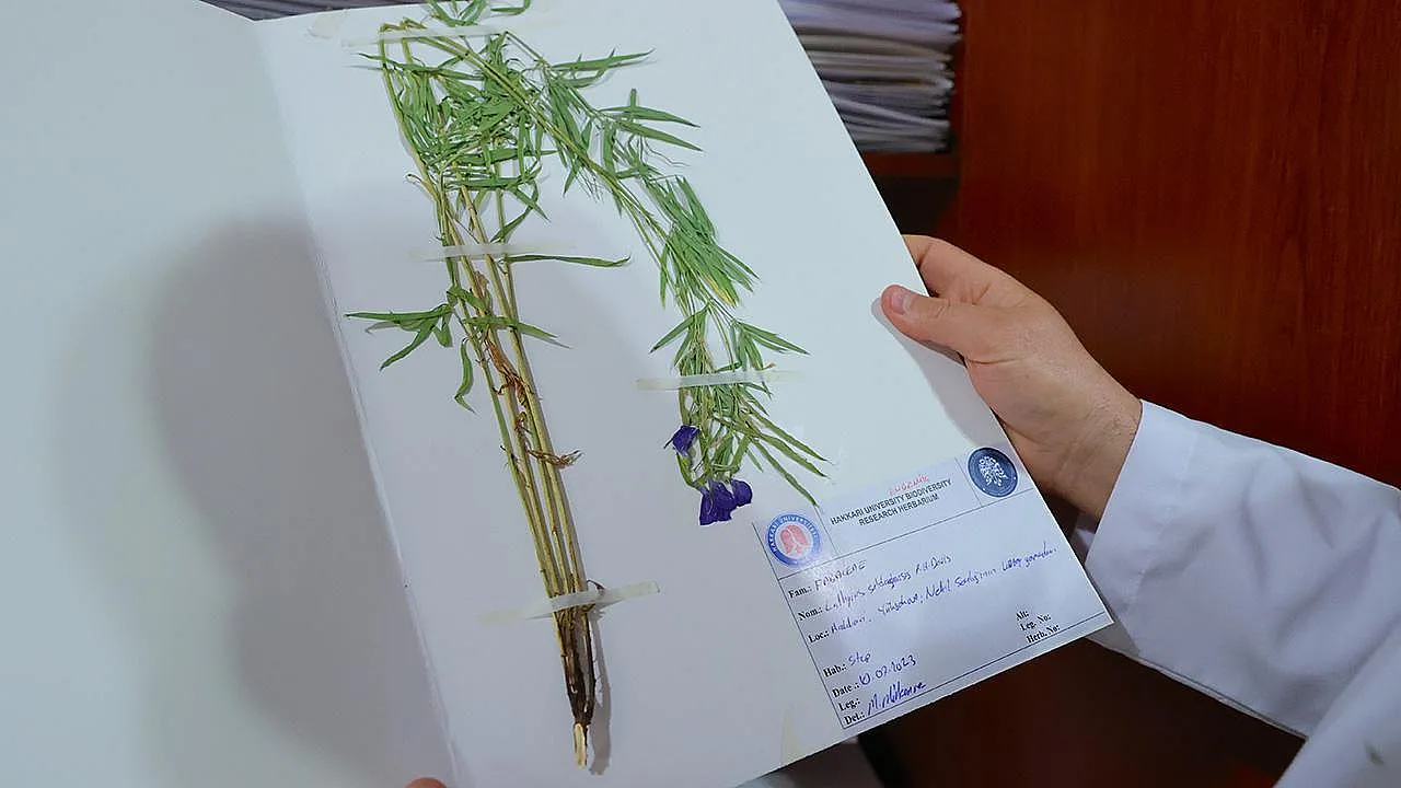 Hakkari’nin Yüksek Dağları Bilim Dünyasını Şaşırttı