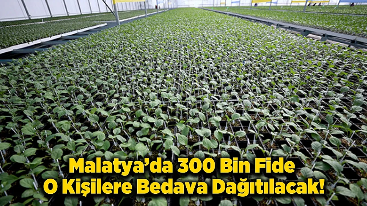 Malatya'da Fide Dağıtımı İçin Başvuru Tarihleri Netleşti!