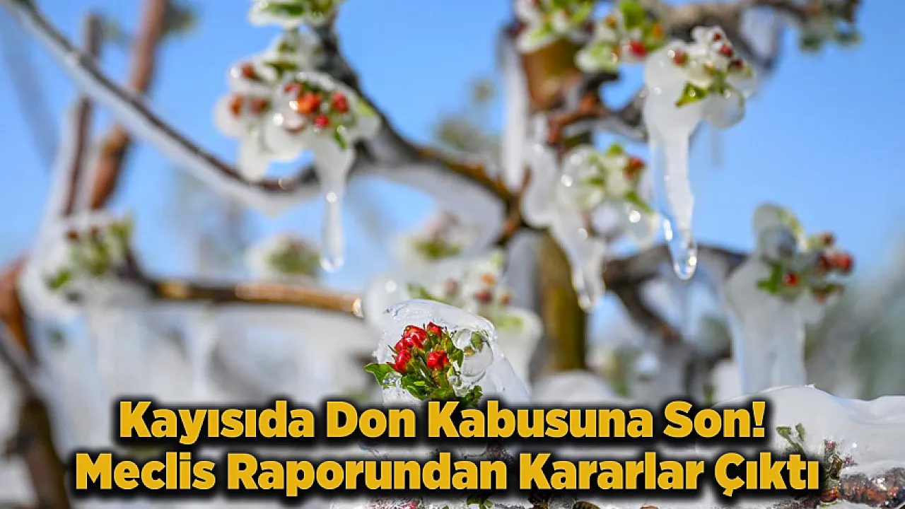 Malatya Kayısısına Meclis Kalkanı! Zirai Don Artık Kader Olmayacak