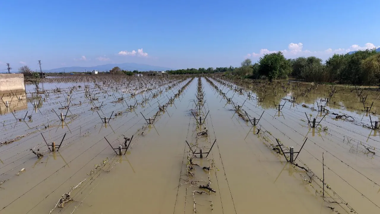 Manisa’daki Üzüm Bağlarını Sel Vurdu!