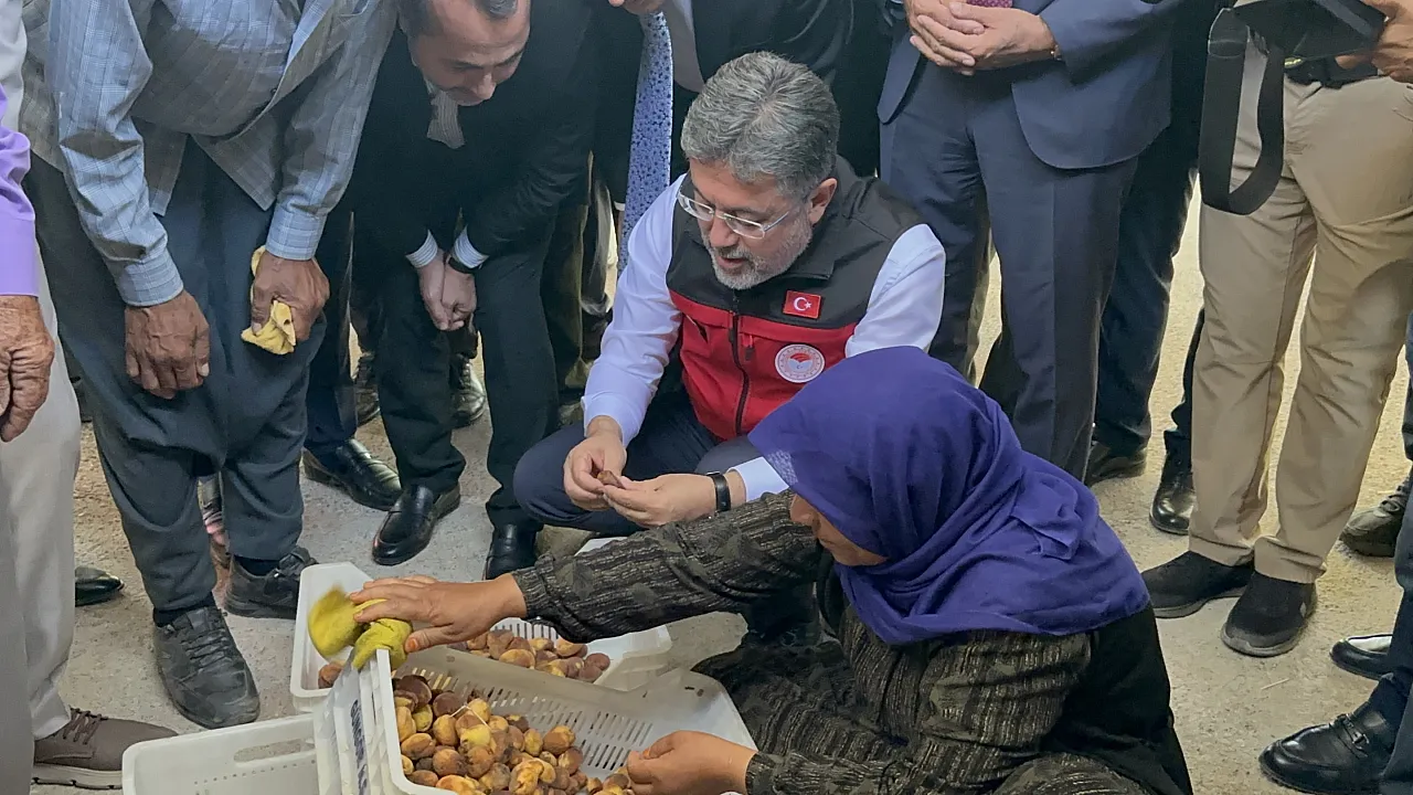 Malatya'da Kayısı Bahçelerinde Bakan Yumaklı Hasada Katıldı!