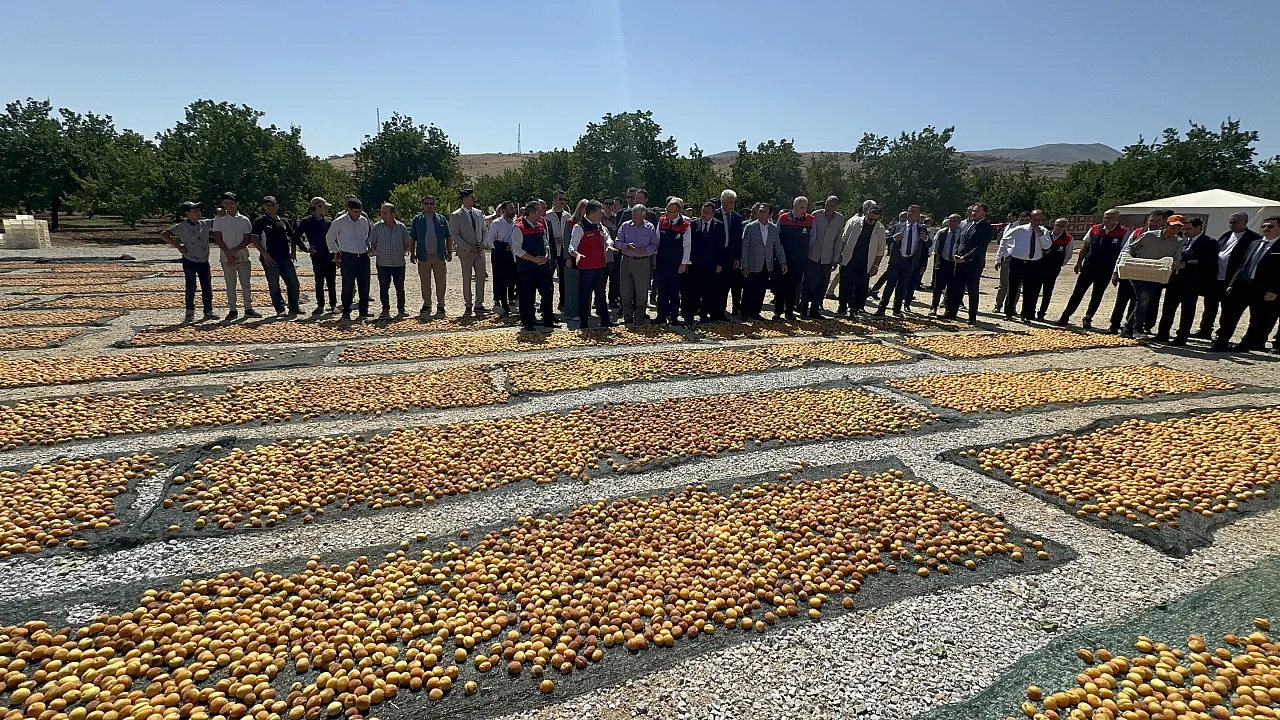 Malatya'da Kayısı Bahçelerinde Bakan Yumaklı Hasada Katıldı!