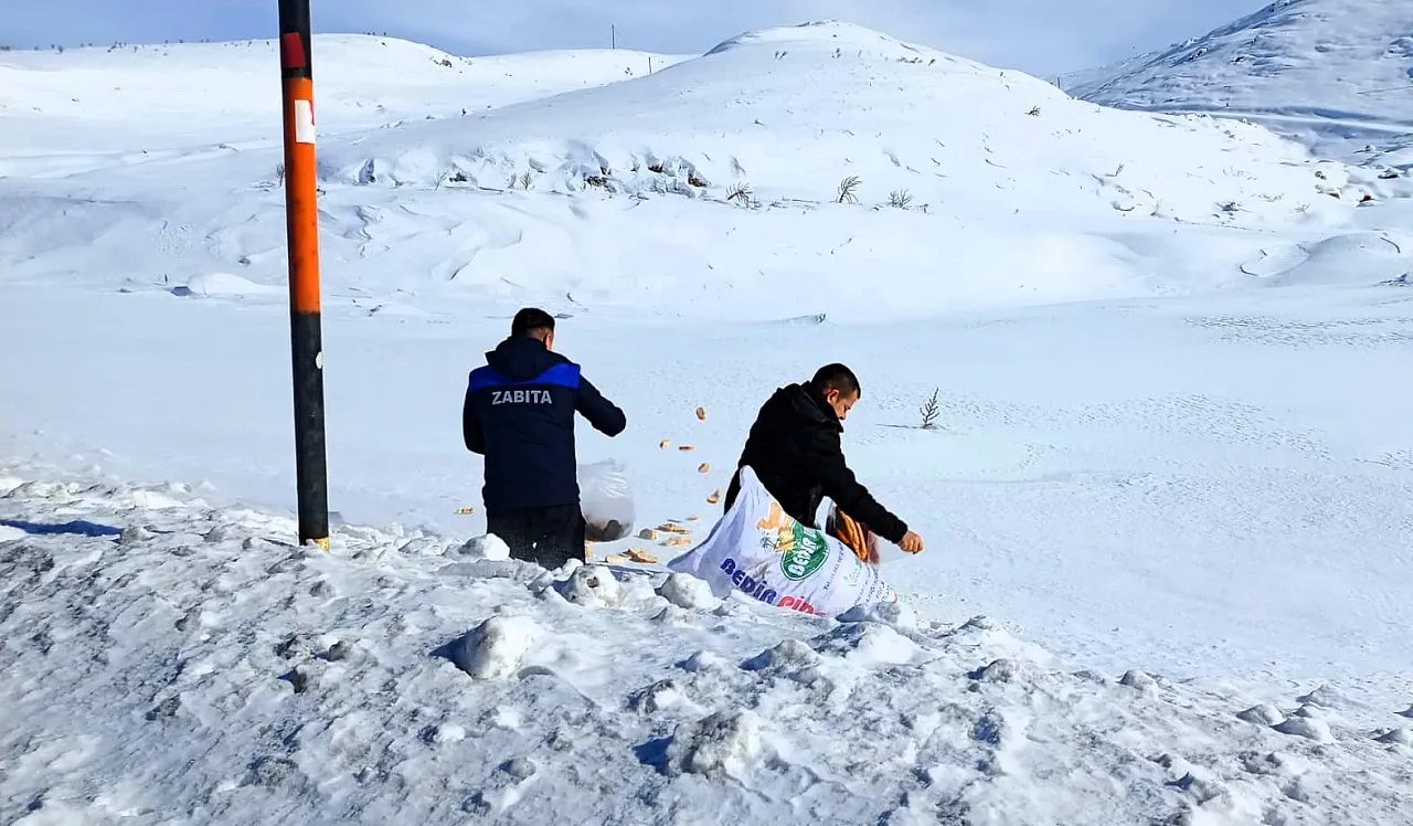 Doğanşehir'de Can Dostlar Unutulmadı!