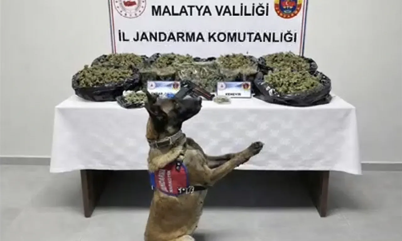 Uyuşturucu Tacirlerine Geçit Yok: Narkotik Köpeği Saklanan Zehri Buldu!