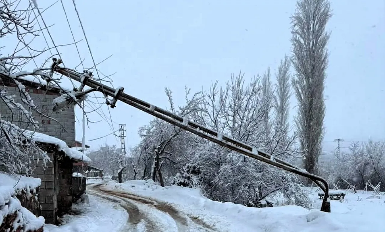 Doğanşehir'de Yoğun Kar Yağışı! Direk Yola Devrildi