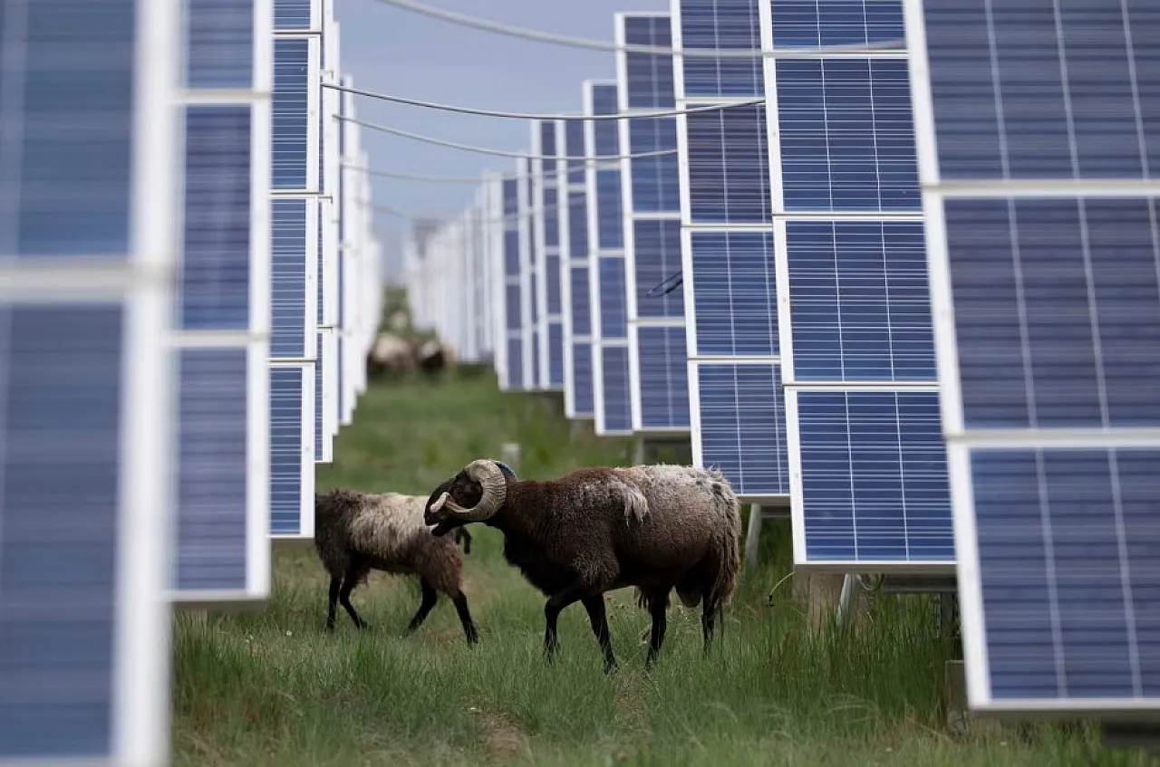 Çin'den Güneş Enerjisinde Tarihi Adım: Emisyonlar İlk Kez Yapısal Olarak Azaldı