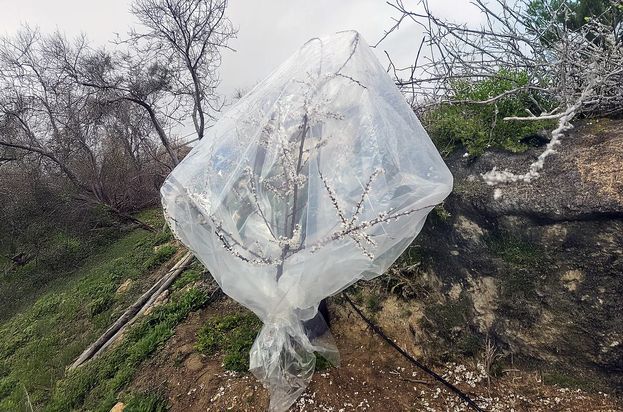 Malatya'da Kar Mesaisi! Üretici Don Riskine Karşı Teyakkuzda