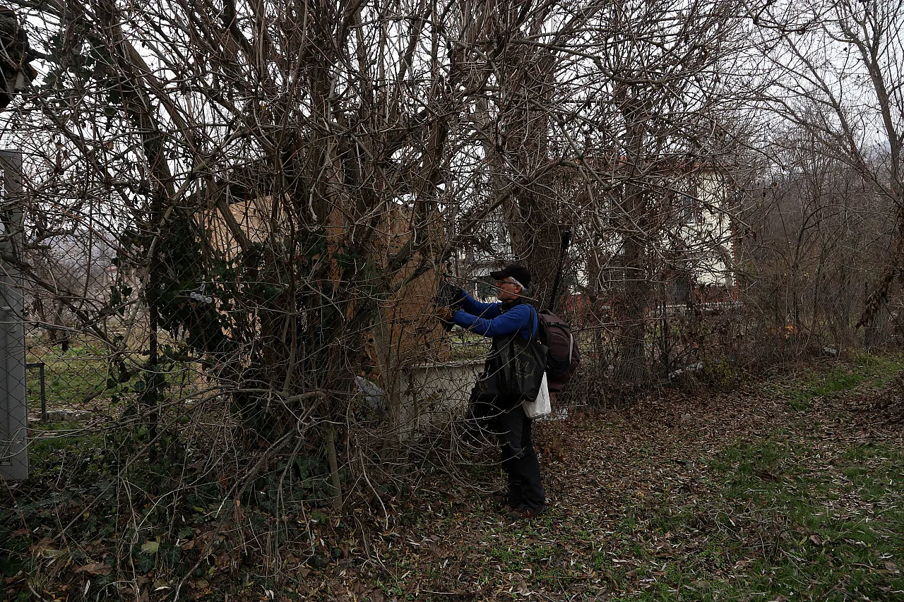 Malatya'da Yaban Hayvanlarına Yem Desteği