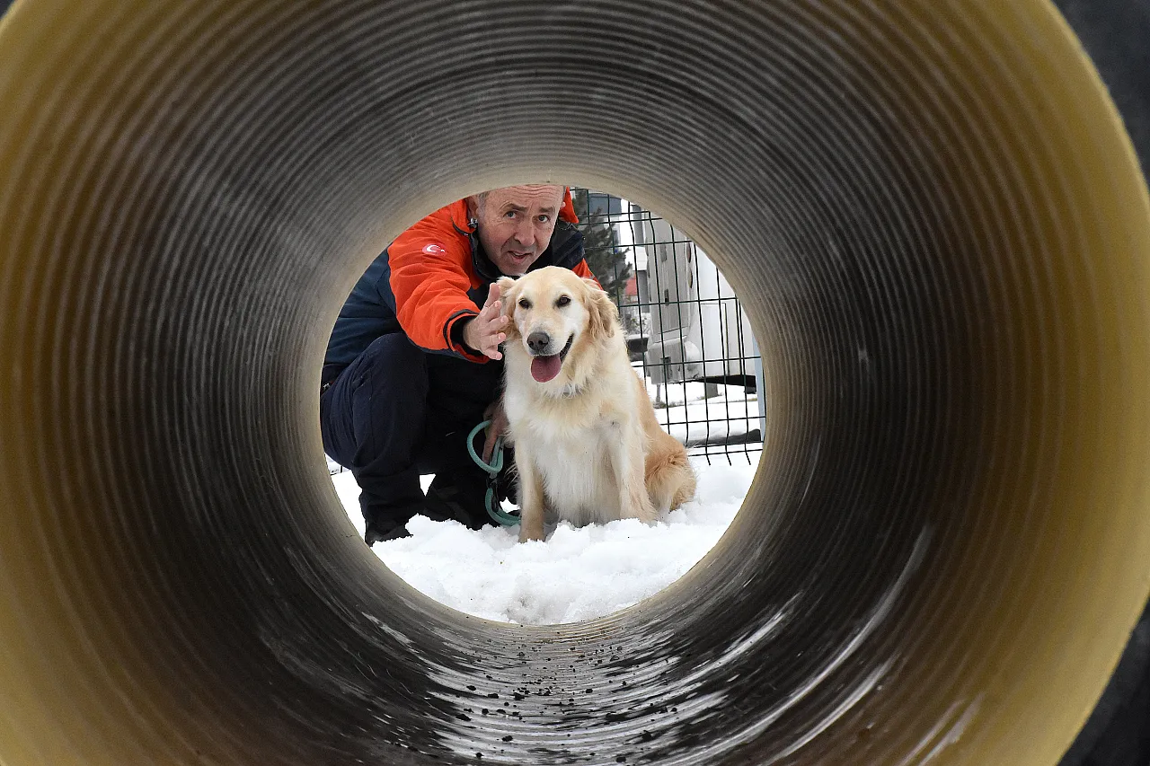 Malatya Unutmadı! Sessiz Kahraman Köpük Göreve Hazır!